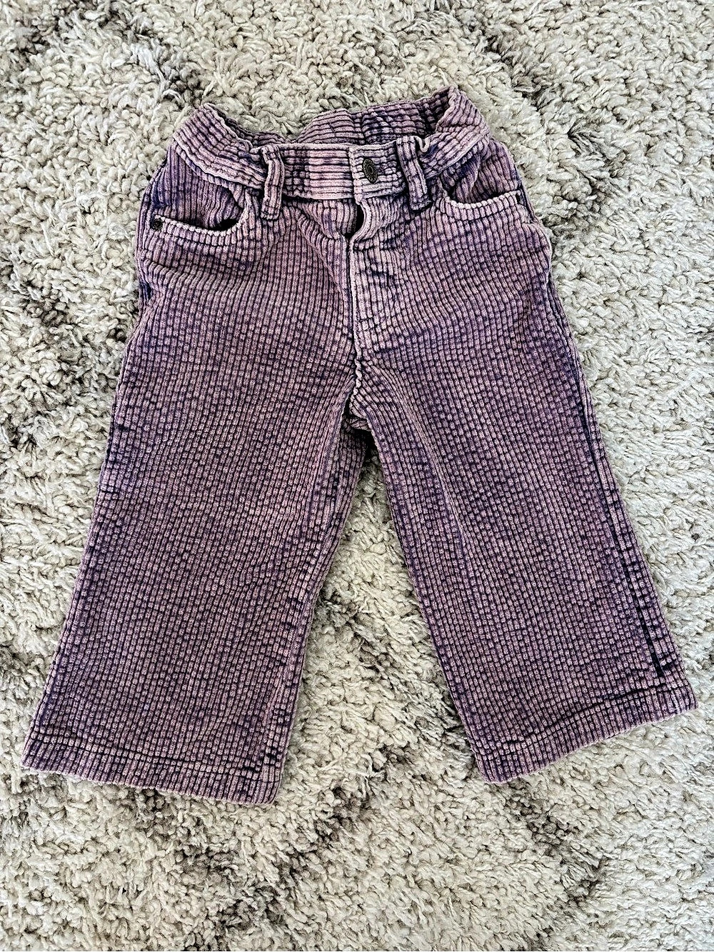 Cat & Jack Girls Purple Corduroy Wide-Leg Pants – 2T